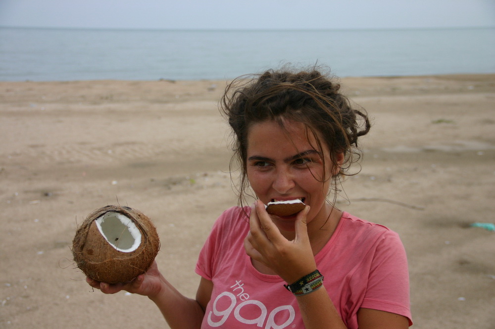 кокос на пляже Sam Phraya