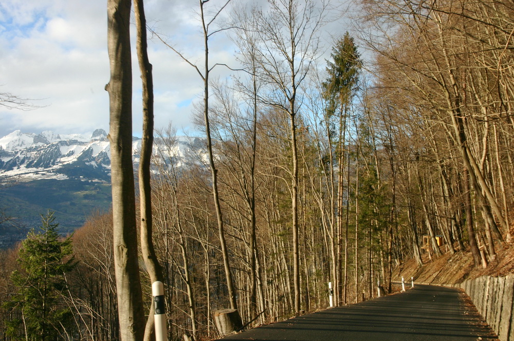 Дороги Лихтенштейна